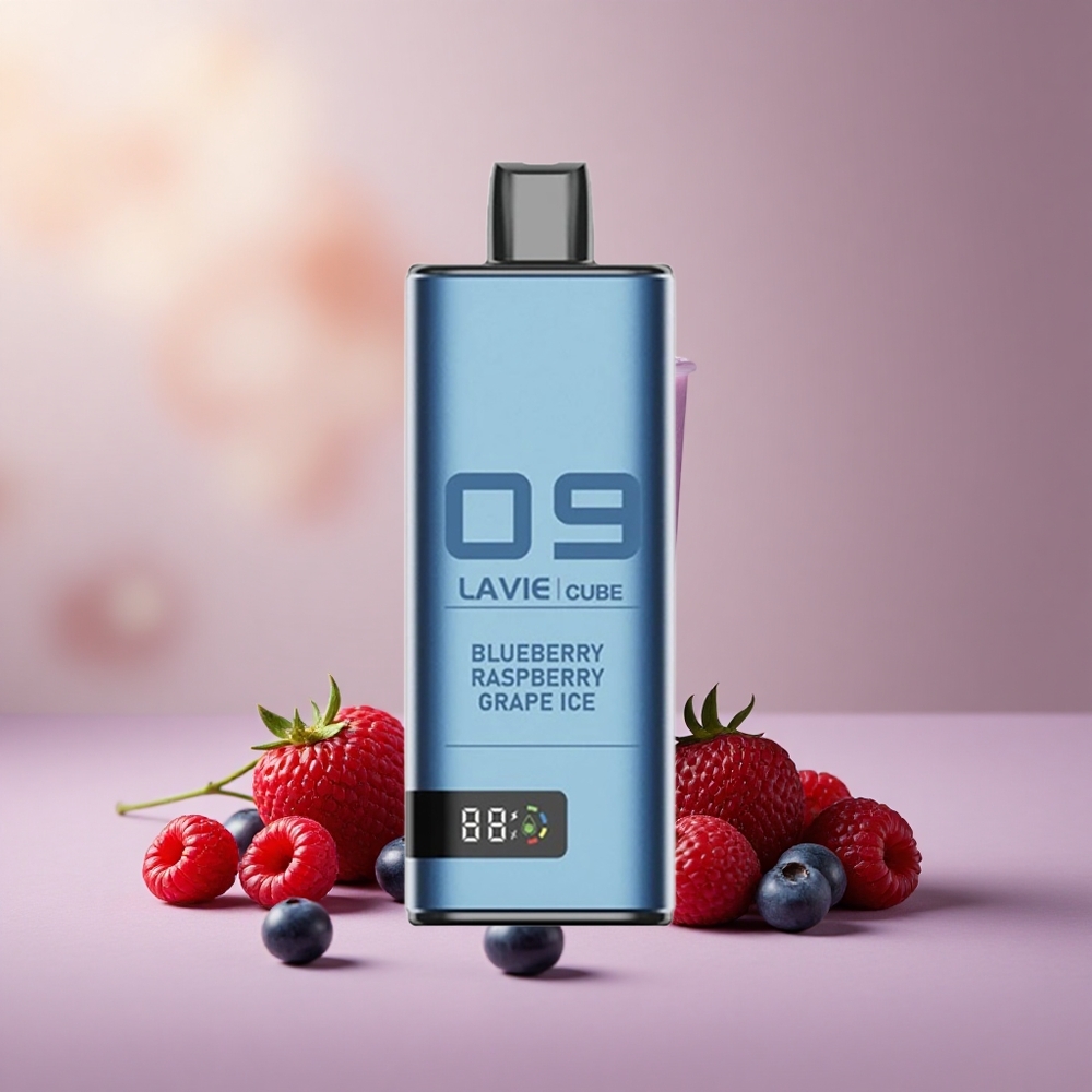 Lavie Cube 20000 Čučoriedka Malina Hroznový ľad 28ML Type C