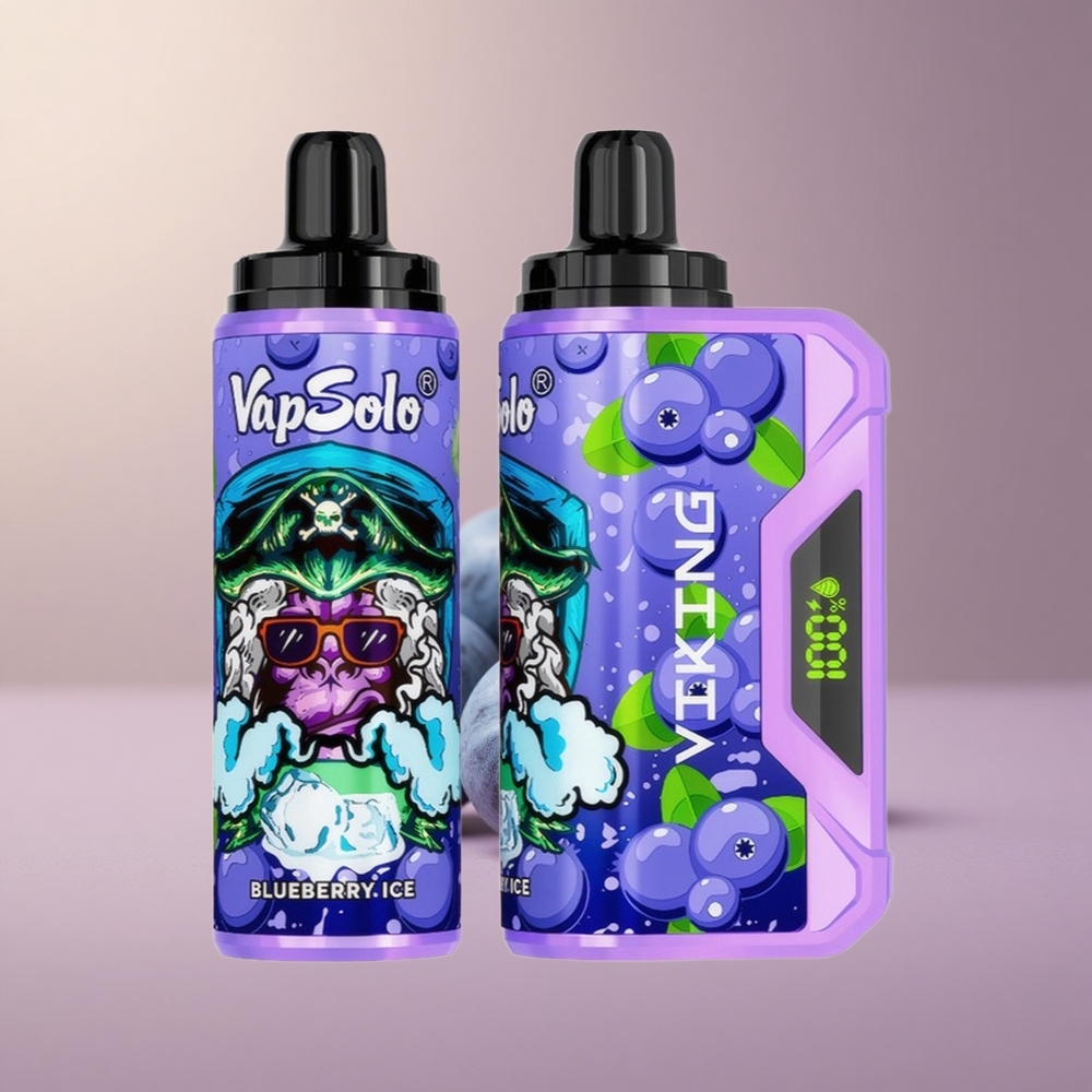 VapSolo VIKING 12000 Borůvka Typ-C 22ml