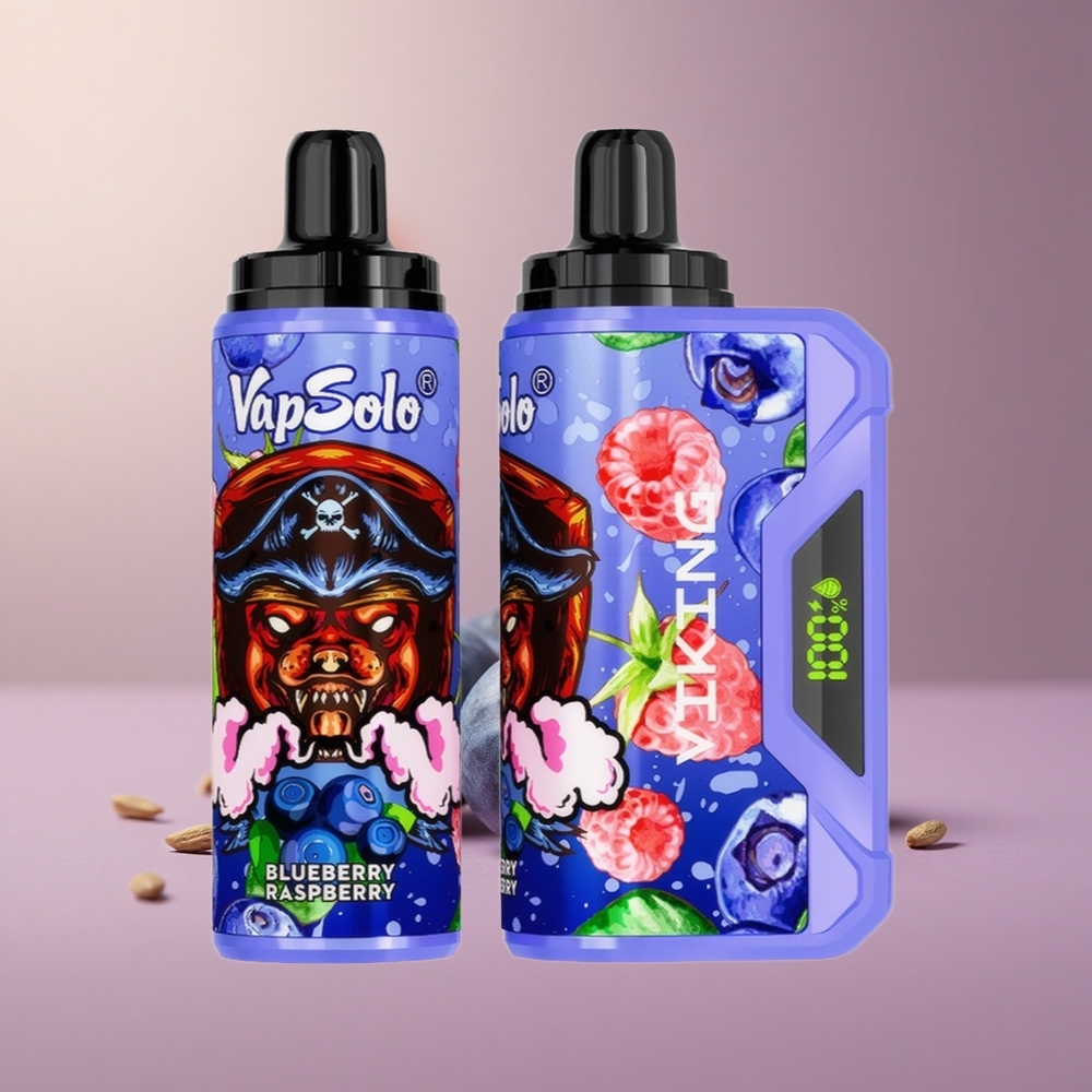 VapSolo VIKING 12000 Čučoriedka Malina 22ml Type-C