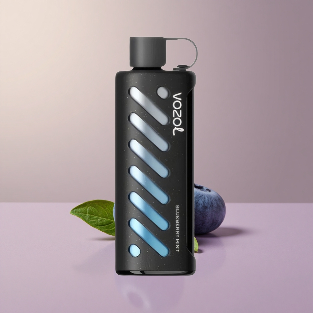 VOZOL Gear Shisha 25000 Boruvková Mätová Dual Mesh