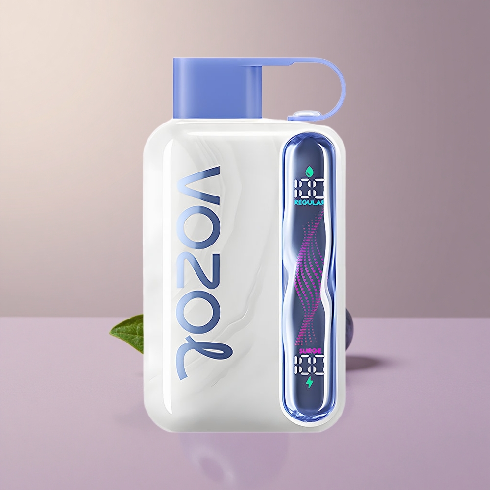 VOZOL STAR 40000 Boruvkovo-Mätový 1000mAh Type-C