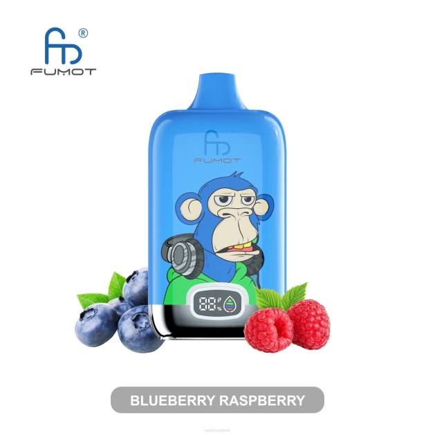 Fumot Original RandM Digital Box Batéria s kapacitou 12 000 a výparník s tekutým displejom TV4Z7 - RandM shop vape - svieži ľad